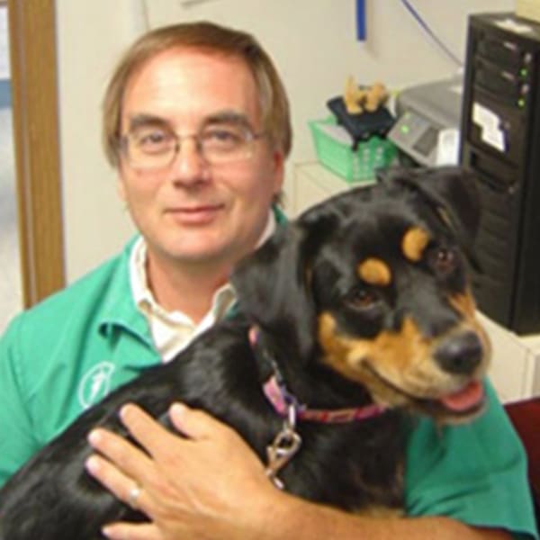 Dr. Gregory Noll, Springfield Veterinarian